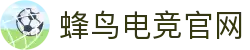 蜂鸟电竞官网 - DOTA2,LOL,CSGO电竞赛事及体育赛事竞猜 